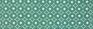 bicyclista sista, stars forever, Accessoires, Green