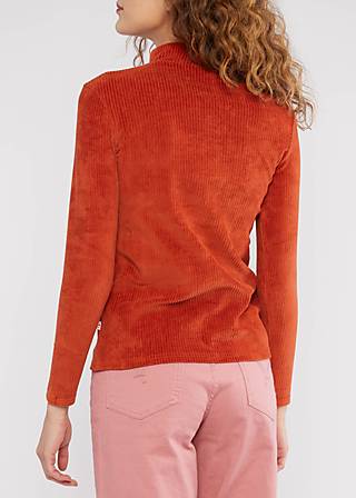 Longsleeve Jolly Turtle, spicy brown, Shirts, Braun